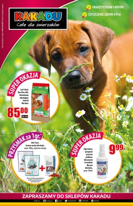 Kakadu | Gazetka 12/2017