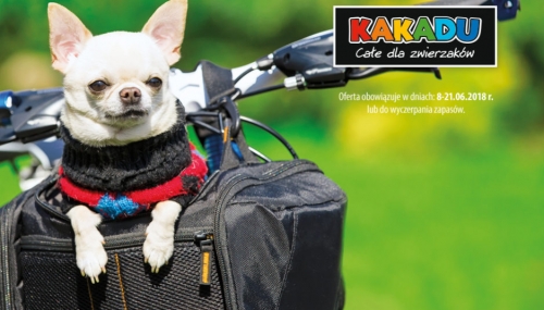 Kakadu | Magazine 8/2018