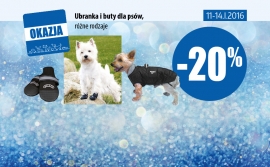 Kakadu - a discount when buying clothes and shoes for dogs - 11.01 to 01.14.2016