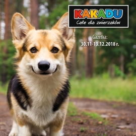 Kakadu | Magazine 19/2018