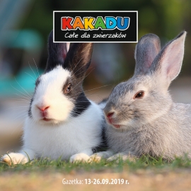 Kakadu | Magazine 13/2019