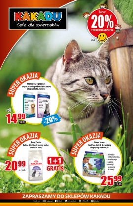 Kakadu - Gazetka 7/2017
