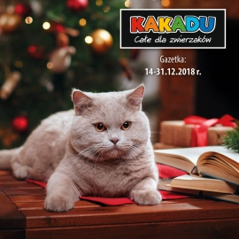 Kakadu | Magazine 20/2018