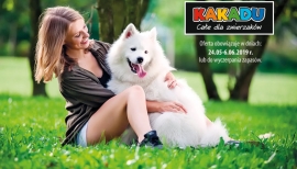 Kakadu | Magazine 7/2019