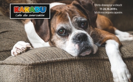 Kakadu | Magazine 15/2019