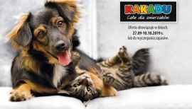 Kakadu | Magazine 14/2019